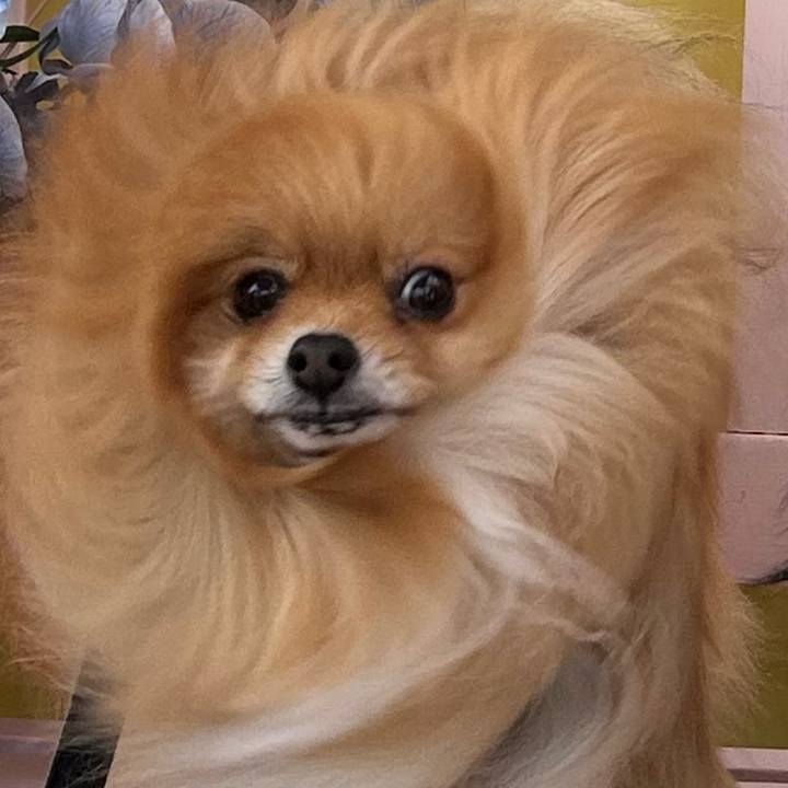 Ed5743cb aeb3 4b17 b2fd 3b27dec3ec4f 1773473278249