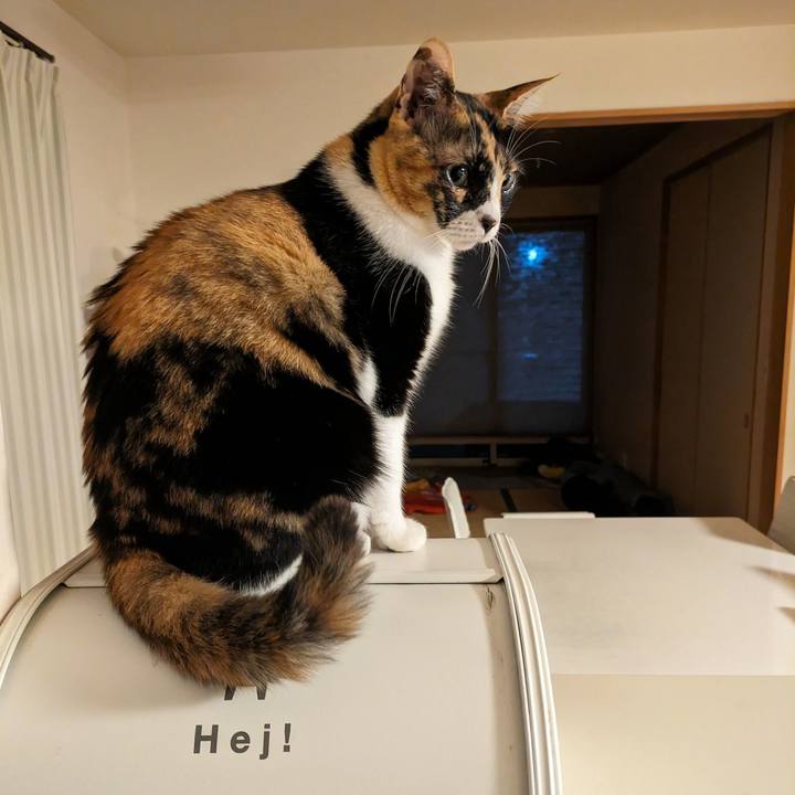 Ed5746bd 8058 4c65 b39a 635f7afcc1ca 1700192551245