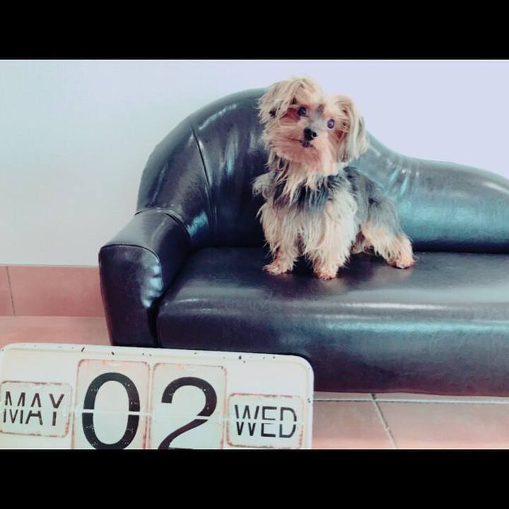 Ed575d5e b736 4f73 a2e9 709a7a680e12 1525211824942