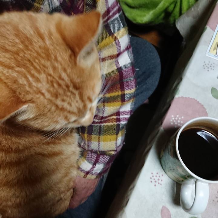 Ed576764 ecb8 40b6 ba07 aca044757cd0 1583699138084