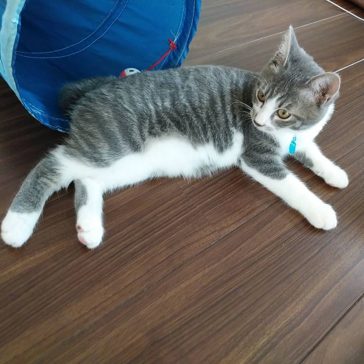 Ed57a29f c8cb 4709 942c 7c22bf5c3d90 1567732429156