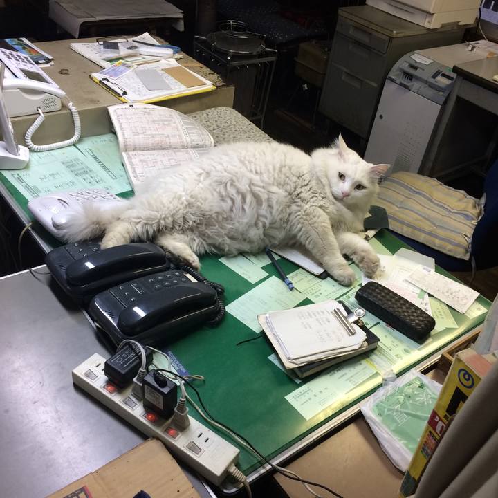 Ed57a8df c3fb 4086 90d4 de4d63d488a5 1511735177129