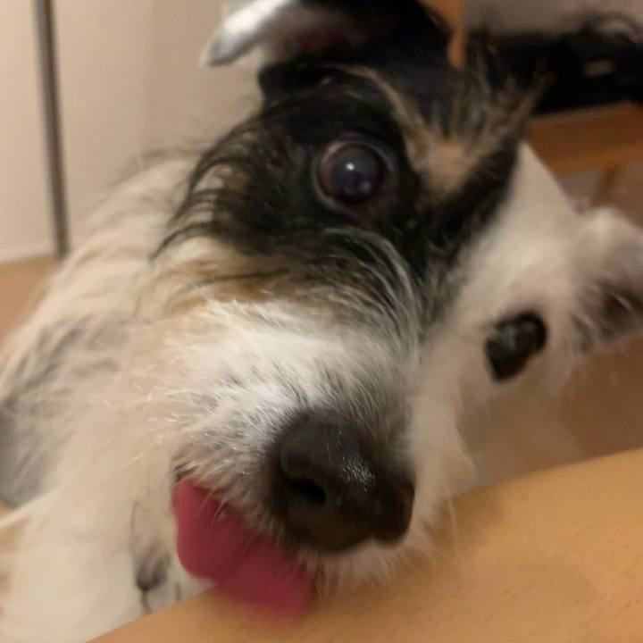 Ed57cfab 711d 43a9 87a6 010aba5ac8b6 1702804366392