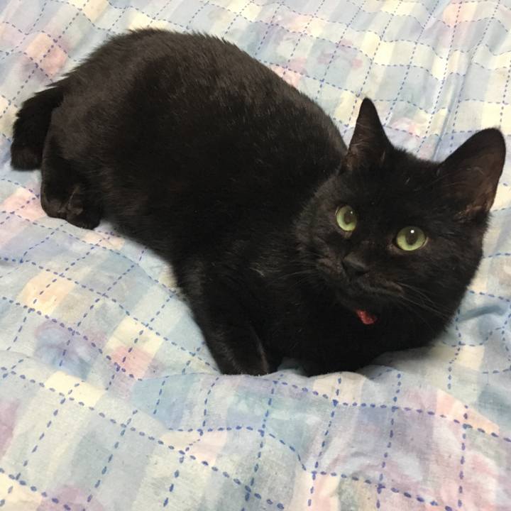 Ed57d77c 7abd 47d6 ad44 f1e85d68b12d 1534476798854