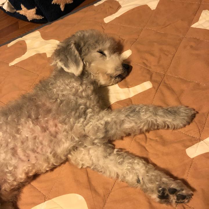 Ed57d8c1 77df 4390 a811 e2df56d28bb7 1593609439584