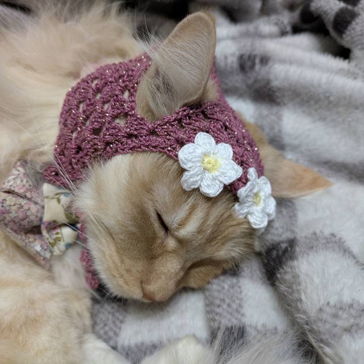 Ed57ebd3 0546 4168 9841 8dbe50beea03 1772896429243