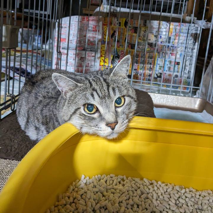 Ed57fbc9 ecb8 48a4 b41b 24b1ada54fb8 1700394892767