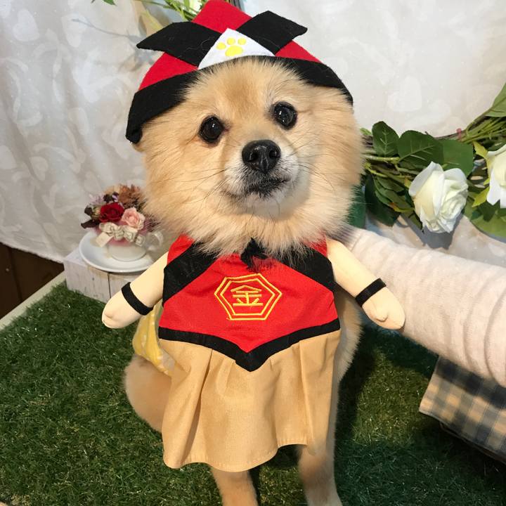 Ed581cba 2482 4ed1 a9e6 10b303dd92f6 1565592414799