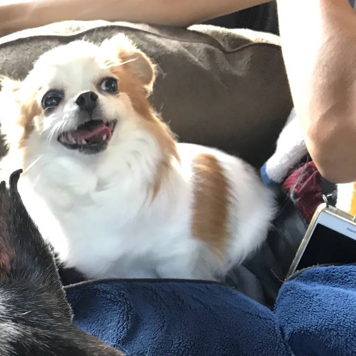 Ed5835e7 6d21 4b6b b55b 6bf7427035d8 1565392713545