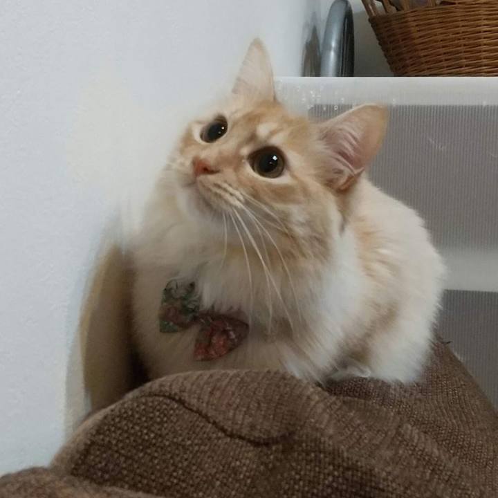 Ed584057 2ddb 47dd af46 f2d47f1b4da6 1646391224201