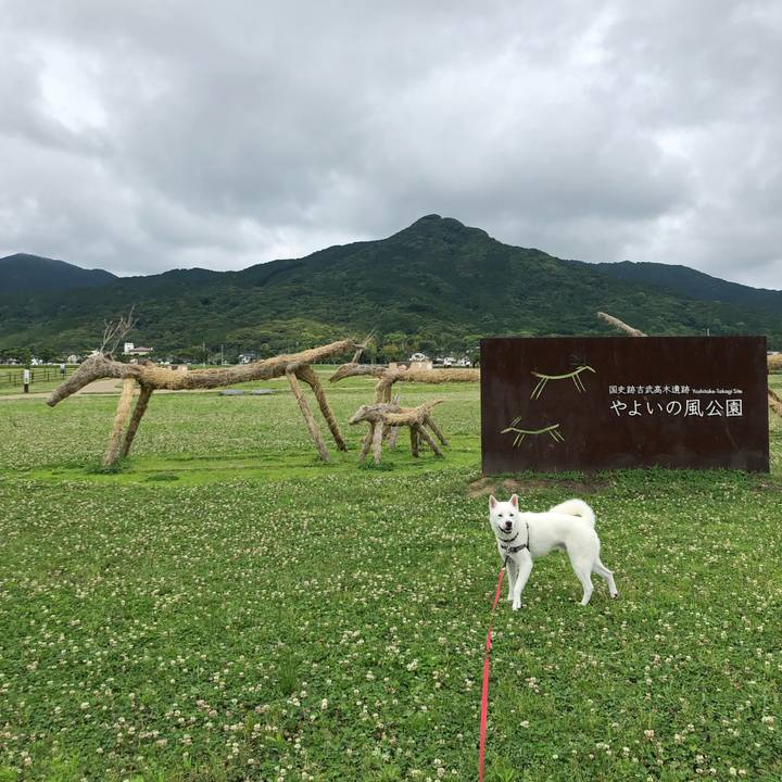 Ed584e6c 861f 4318 ac4c 50404602d462 1560644186852