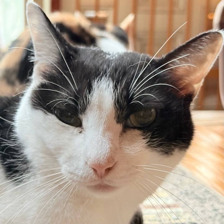 Ed585566 96b0 4606 8033 832874fe2aaf 1731718648488