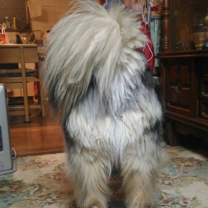 Ed585dce 10f3 44f2 8a13 8b7c63da15f9 1526045288727