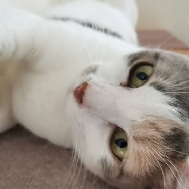 Ed587f92 3a6a 4265 9d28 93a970523437 1630828379621