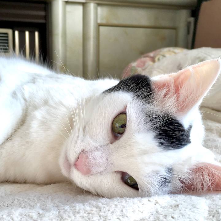 Ed588cef 2082 4bd2 a40d 13e10794dc7e 1575959379974