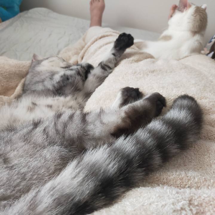 Ed58e34e 8158 414f 8acb 38cb3ea5a638 1595806455807