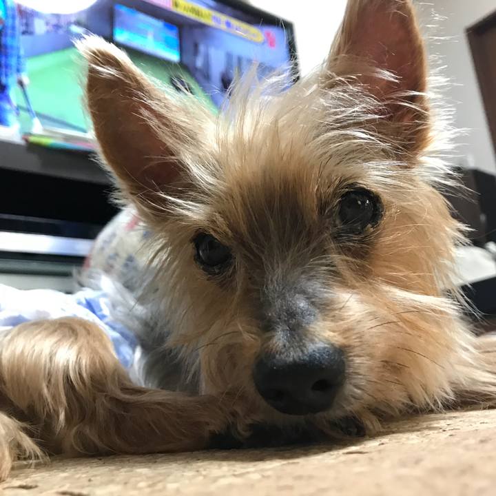 Ed58f030 25c3 4d2b b134 4af376e5a9d5 1511050559765