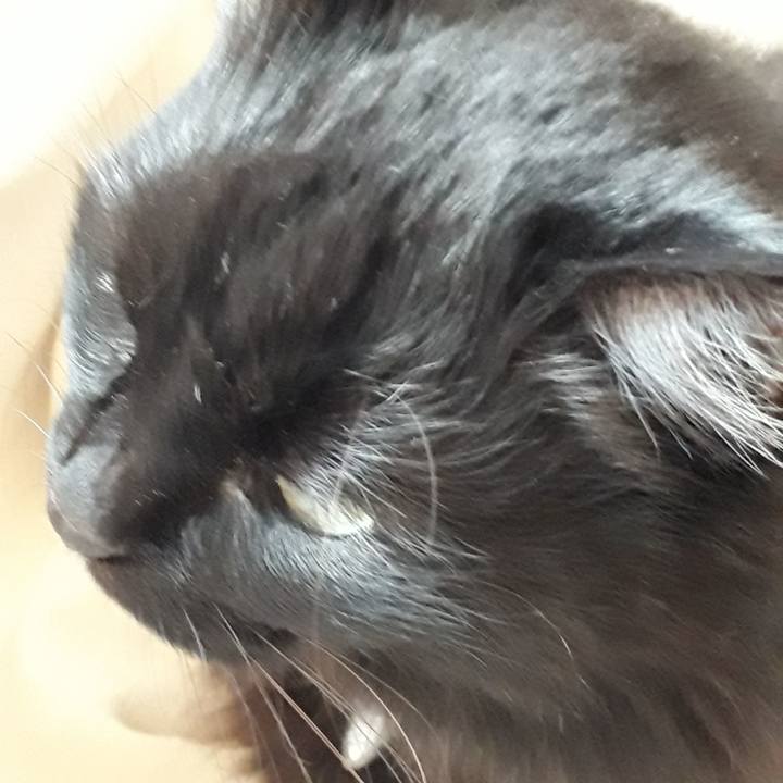 Ed58f8d8 e596 4fb0 abb7 9f5bcd882da9 1519257434467