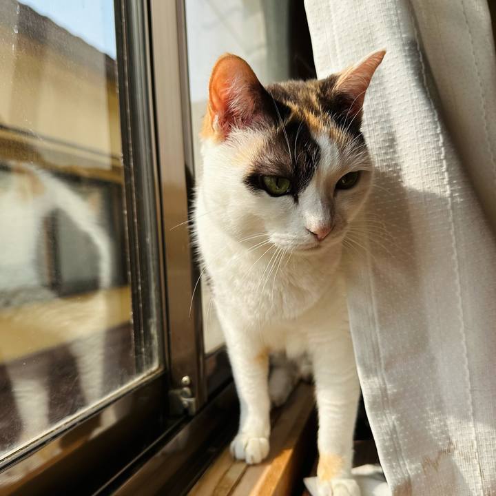 Ed594b0e 0898 4910 be51 4c96cde30894 1678842791287