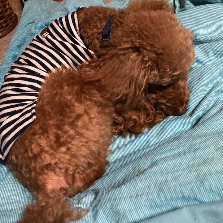 Ed5951cb 9b39 4979 a795 e55bfc1b75a9 1571146663769