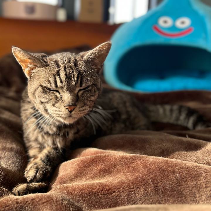 Ed598934 9df5 458a 84c5 15c1ad95cb4e 1764674294588