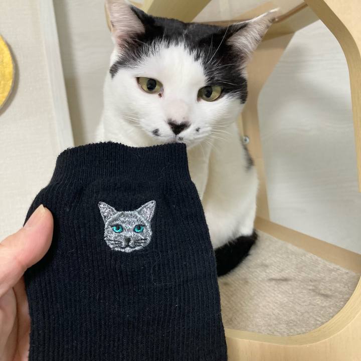 Ed59c5fe 1e2c 47f2 9157 6fd9c30aca19 1769075895049