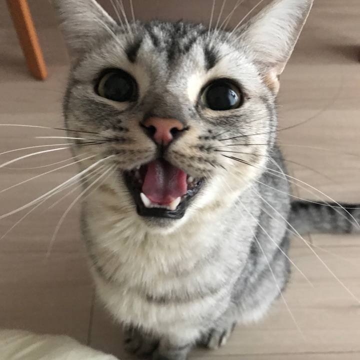 Ed59f1cd a86d 4cfb 967b 6c8bb2646976 1509914270929