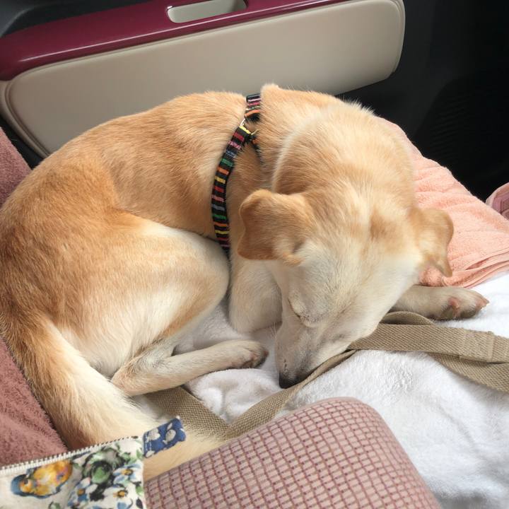 Ed59f1dd 9c6f 4f97 a737 197944a0225a 1630583354852