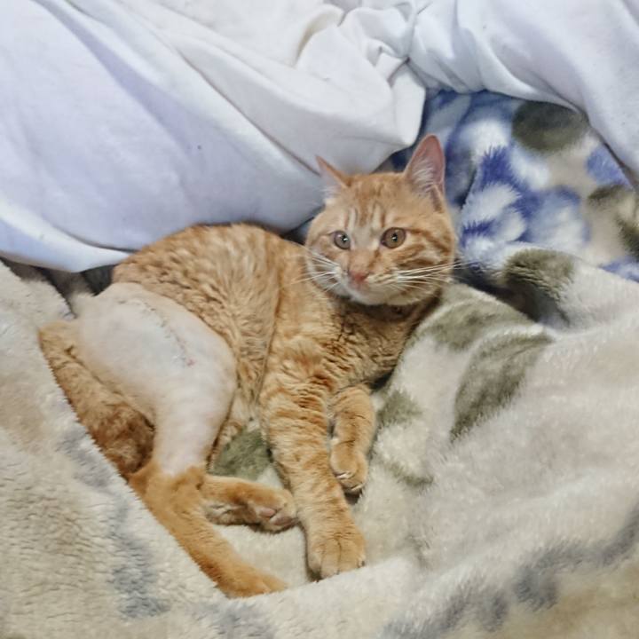 Ed5a3c31 0f35 4b35 9465 c8299fd551c5 1653878212197