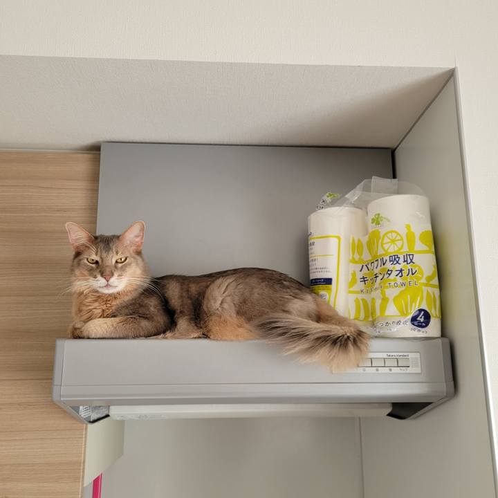 Ed5a7375 105f 4fe2 a07a cf18eb667f8b 1673934530428