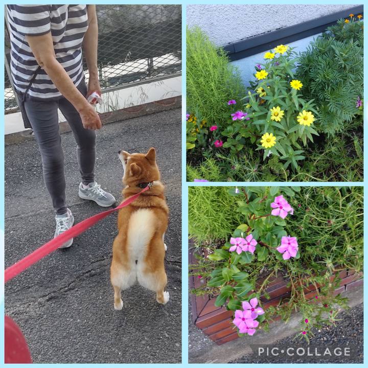 Ed5a926b 8897 4f38 96e4 8de769bf1901 1756764333734