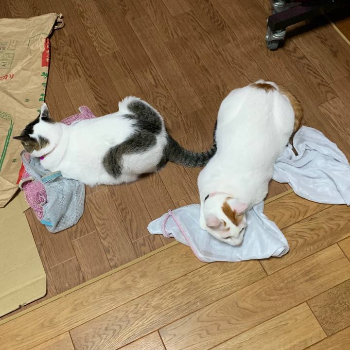 Ed5ad269 9807 455a 8fa3 ca80897de614 1570633680808