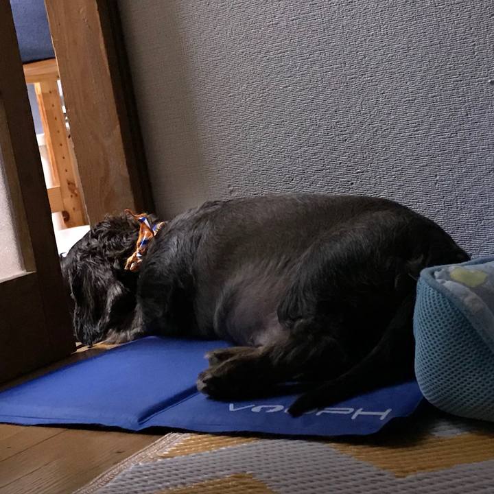 Ed5af2b7 1a30 4ec5 8d1b dae31efb945f 1535301040896