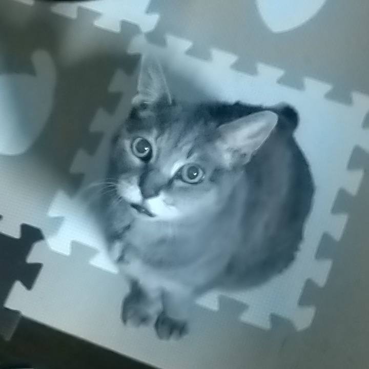 Ed5af307 bfd3 4c01 9752 26b51c3bc559 1691778515533