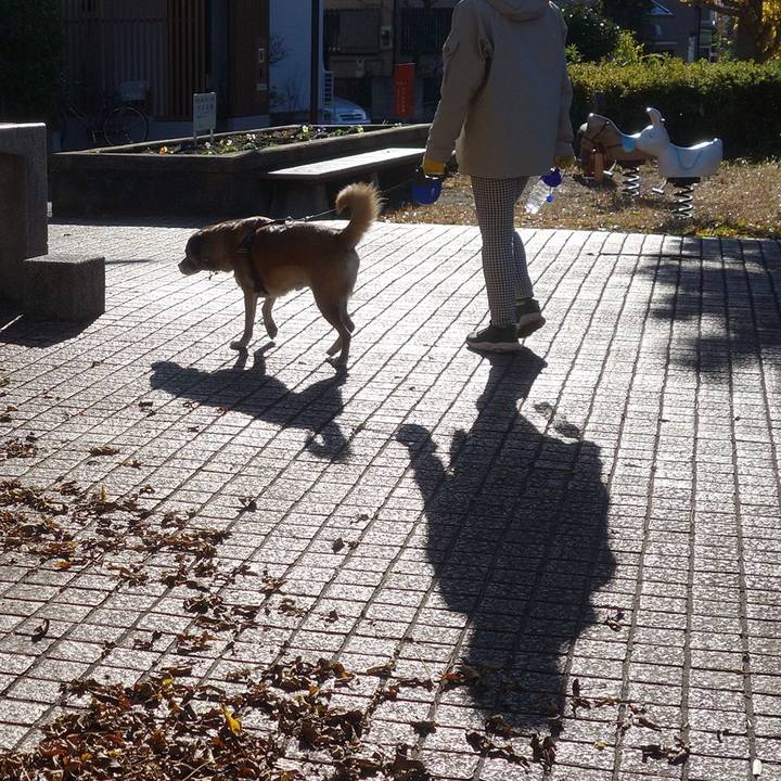 Ed5b2a59 8501 436d b07b 1d27b00194a2 1622678230368