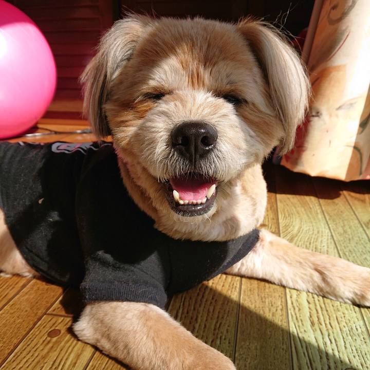 Ed5b54a0 0a8c 4342 99a6 3ed529f8c26a 1613442029730