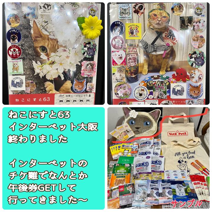 Ed5b72a6 2999 4803 90d9 9b7df85b70d6 1687088596147