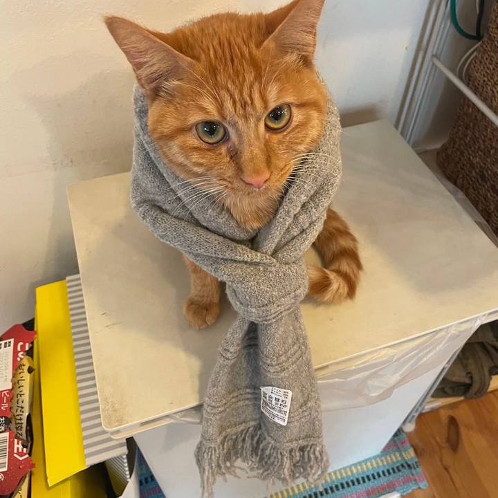 Ed5bb4be 22ce 4d46 b0f5 a2773524e273 1700784371656