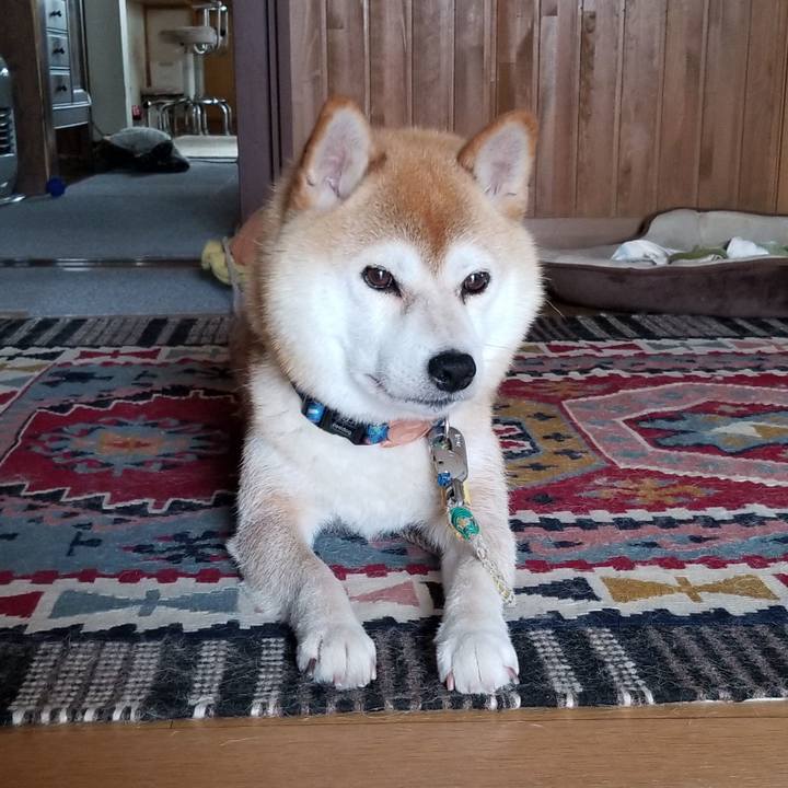 Ed5be881 04a7 482d a59b 124668c6c116 1562803500755