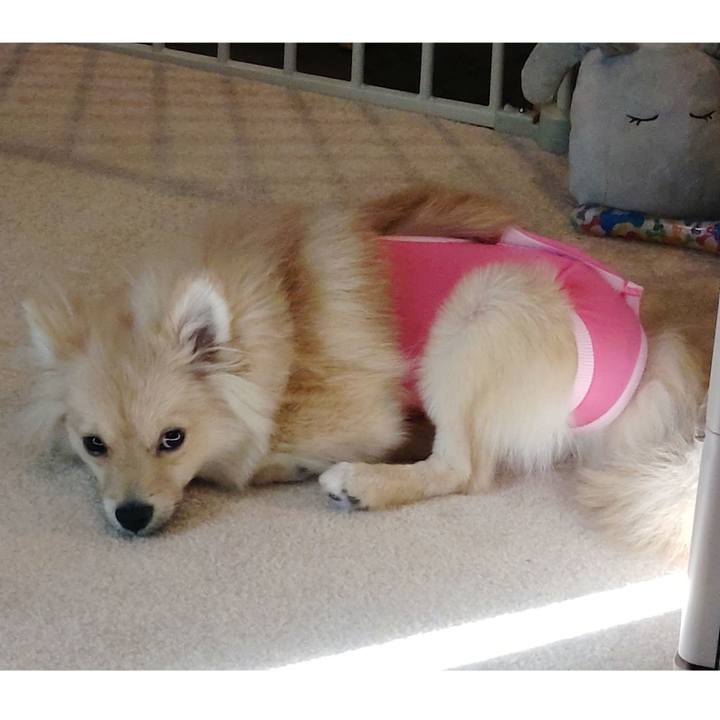 Ed5bf7d1 6696 45dd 93e0 1b9d0b73ba2b 1730683923870