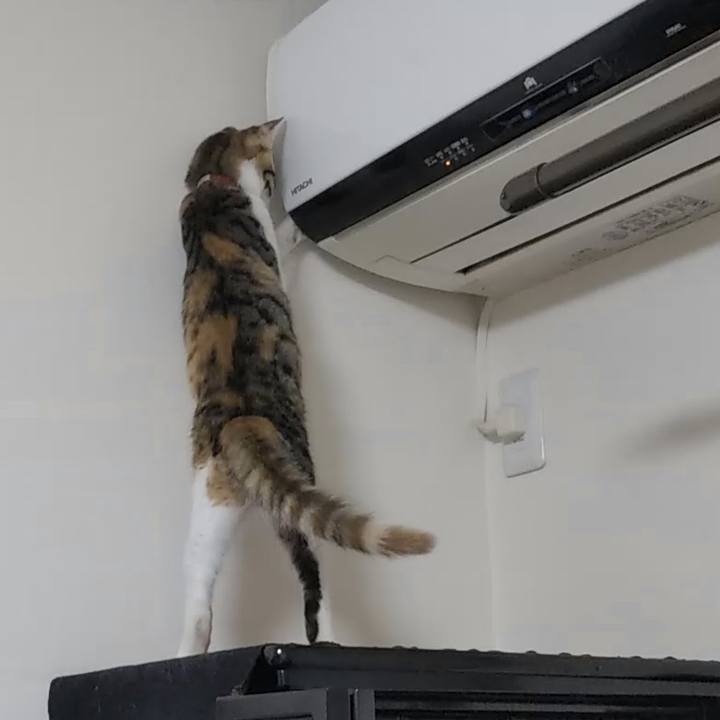 Ed5c033c 9262 43b1 91bc a415c39cbcf7 1632454337358