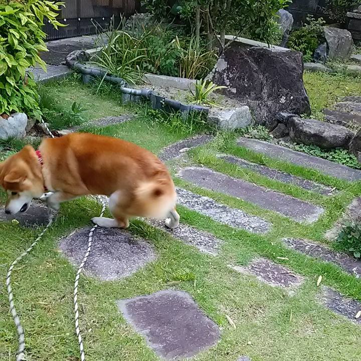 Ed5c59fd 159e 4f35 bfd3 383fa9f1aca2 1590451549243