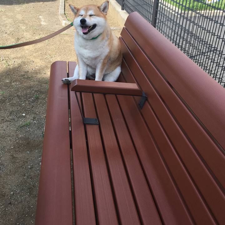 Ed5c7a33 be04 41b1 bdd4 db7719b981cc 1600735703888