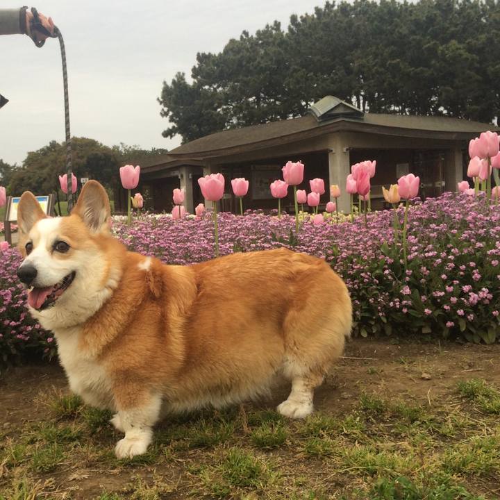 Ed5c8f09 b351 42a9 8acb f65647927826 1540693843797