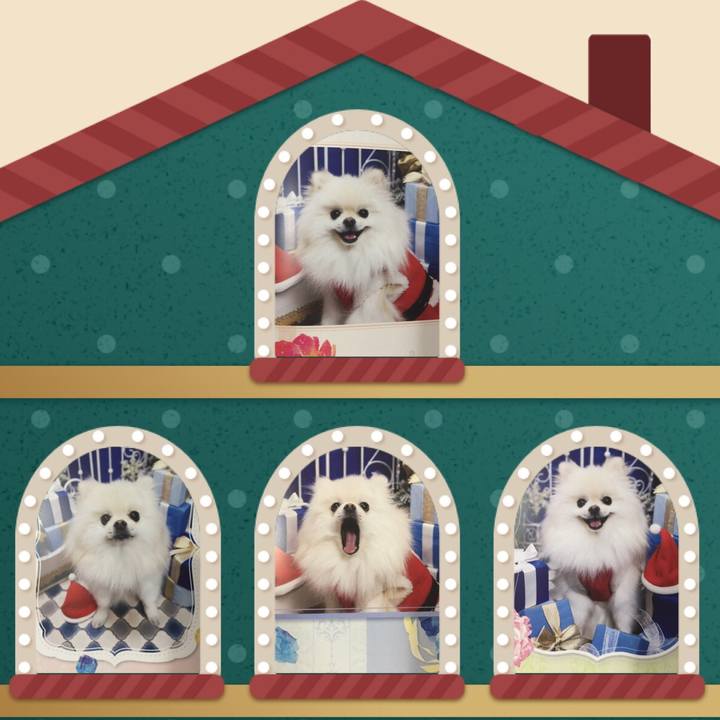 Ed5c912c 1ff3 4ba1 9468 5356ae0b8919 1544574112295