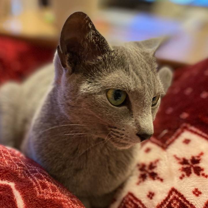 Ed5ca248 2b27 4877 af5f a19b51311c50 1679923386150