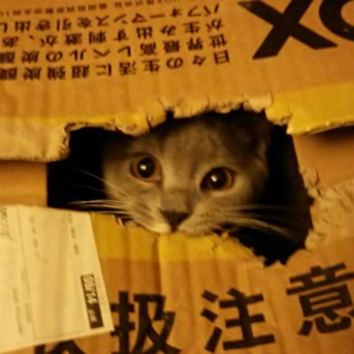 Ed5d0b6c a1d2 47fb 93be ad9e3e3e52e4 1538432352475