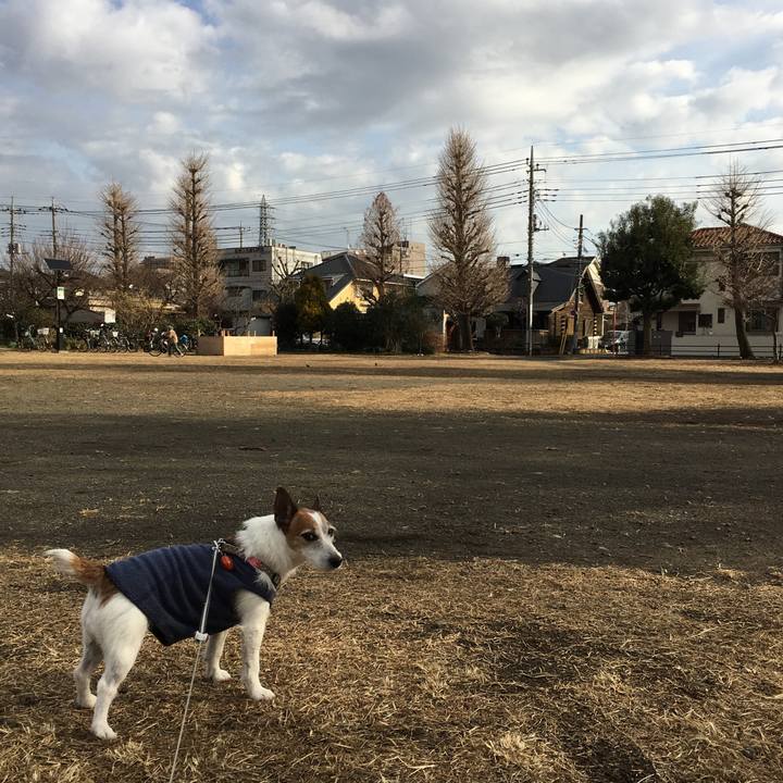 Ed5d23cc cac0 41ea 9fa6 234137fff6ca 1611790280964