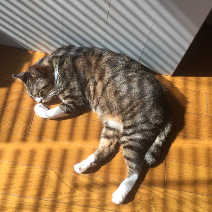 Ed5d5c14 d1cb 4279 a2d9 e54e5bf98b4c 1572576398657