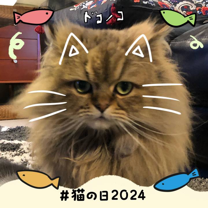 Ed5d5c68 c0e4 4ad7 9451 2ec4e962e631 1708607218358